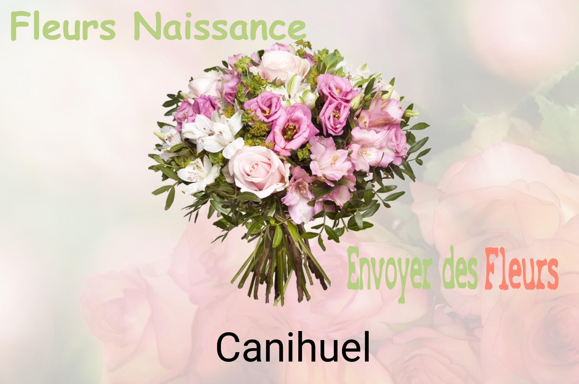 Bouquet de fleurs de naissance livré à Canihuel